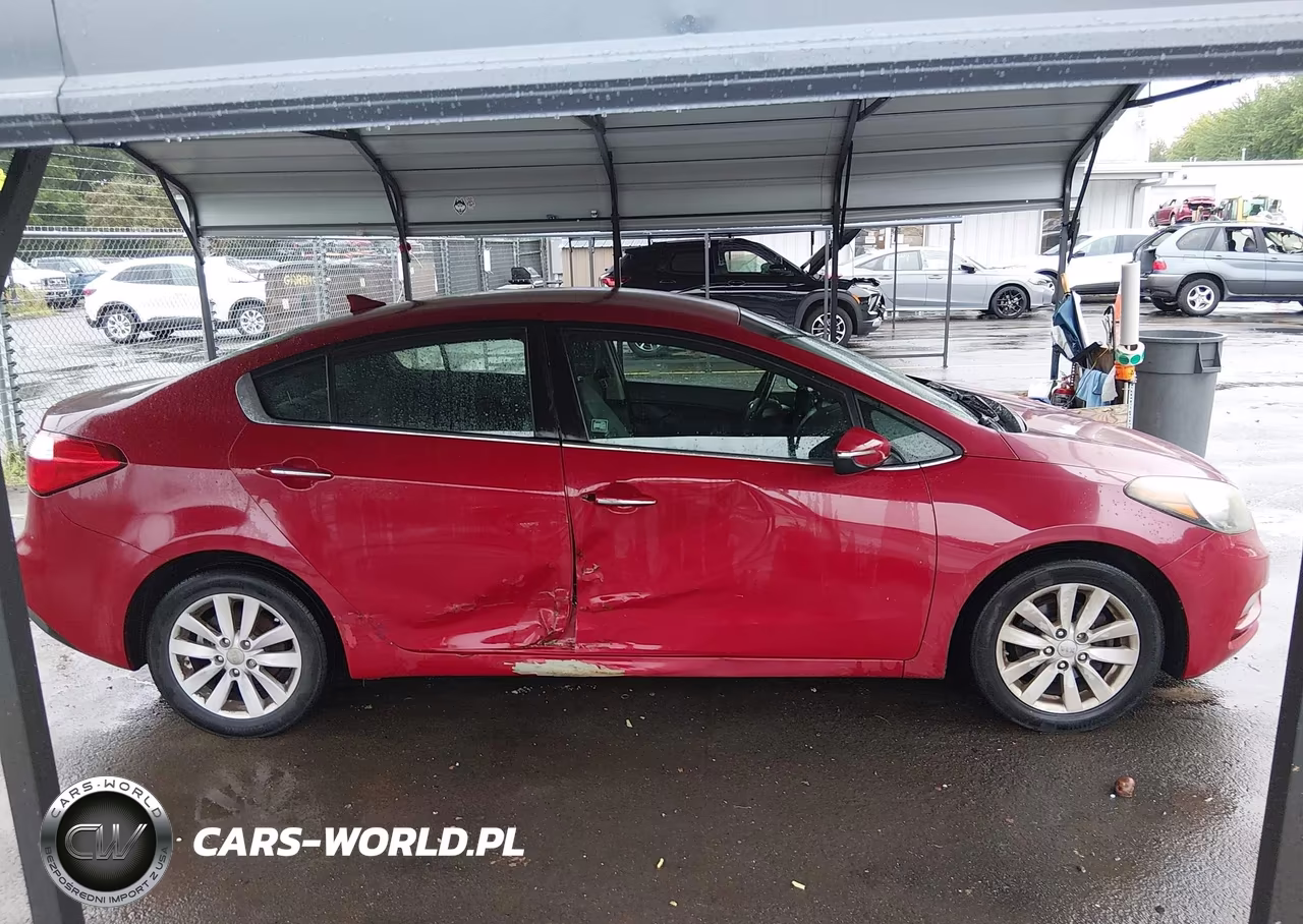 2014 Kia Forte Ex VIN:KNAFX4A80E5047313 - 13