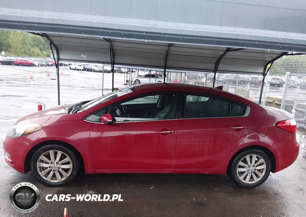 2014 Kia Forte Ex VIN:KNAFX4A80E5047313 - 14