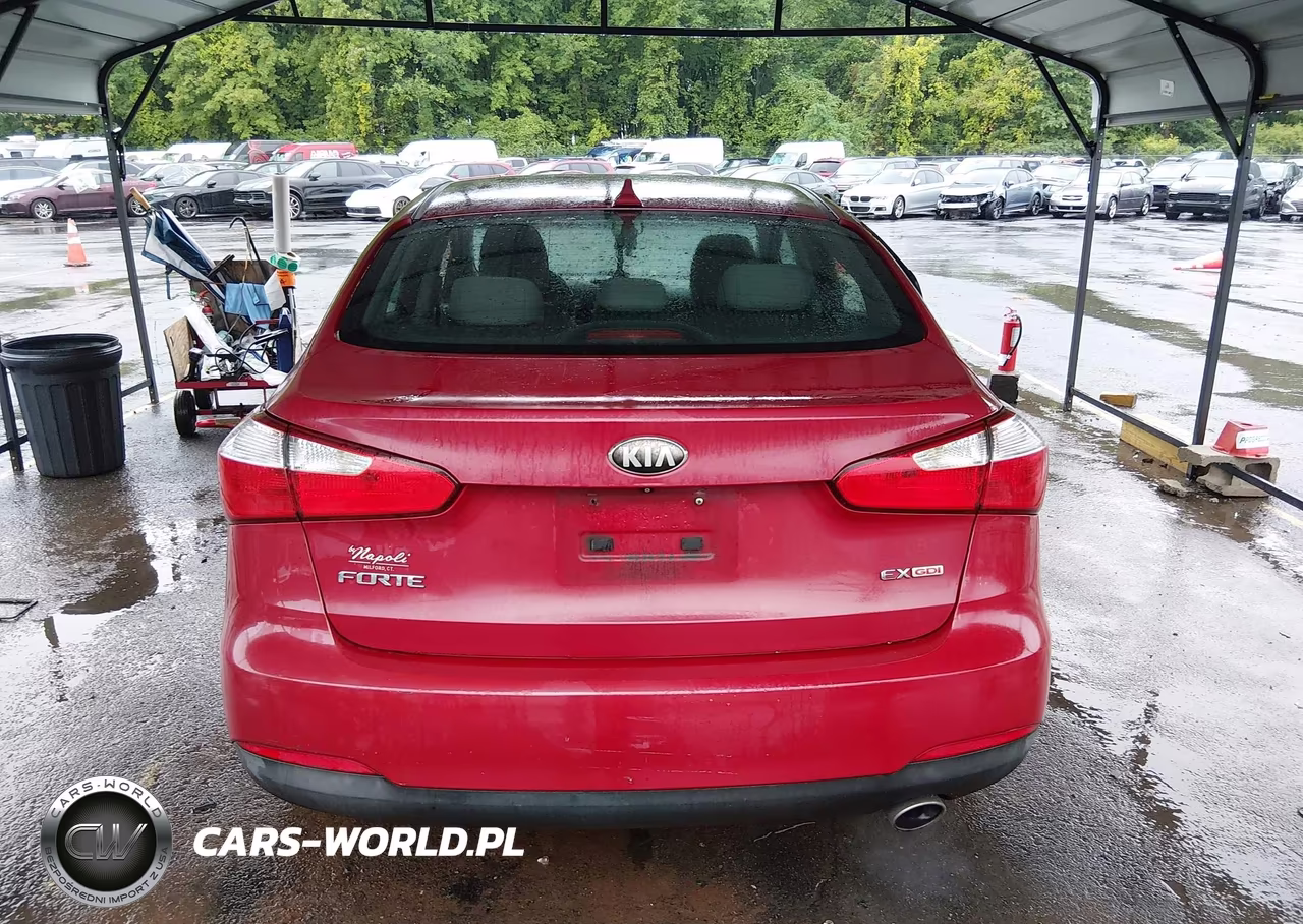 2014 Kia Forte Ex VIN:KNAFX4A80E5047313 - 16