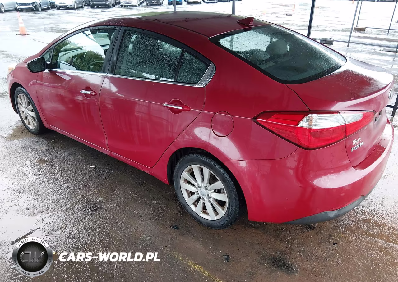 2014 Kia Forte Ex VIN:KNAFX4A80E5047313 - 3