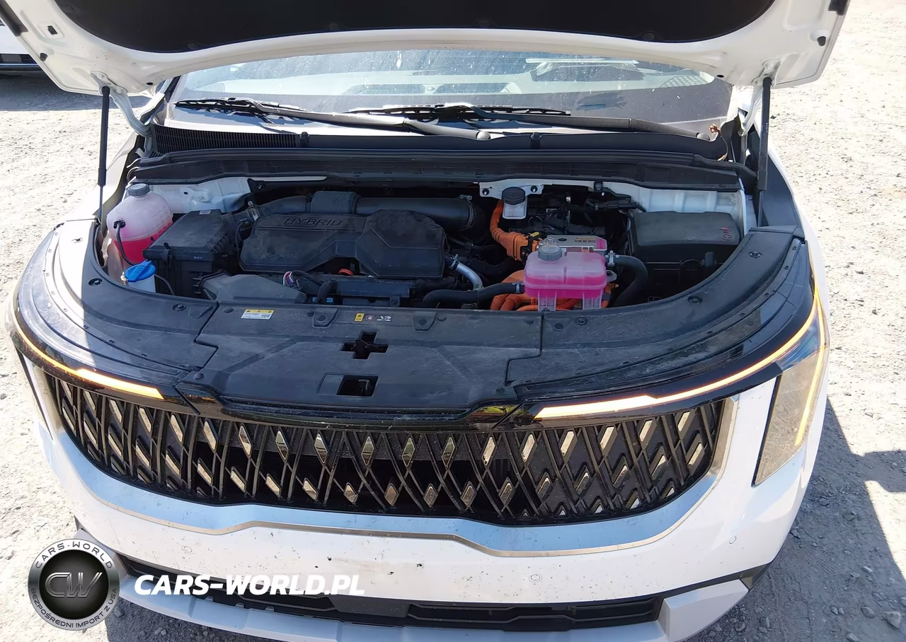 2026 Kia Carnival Mpv Hybrid Lxs VIN:KNDNB5KA7T6119295 - 10