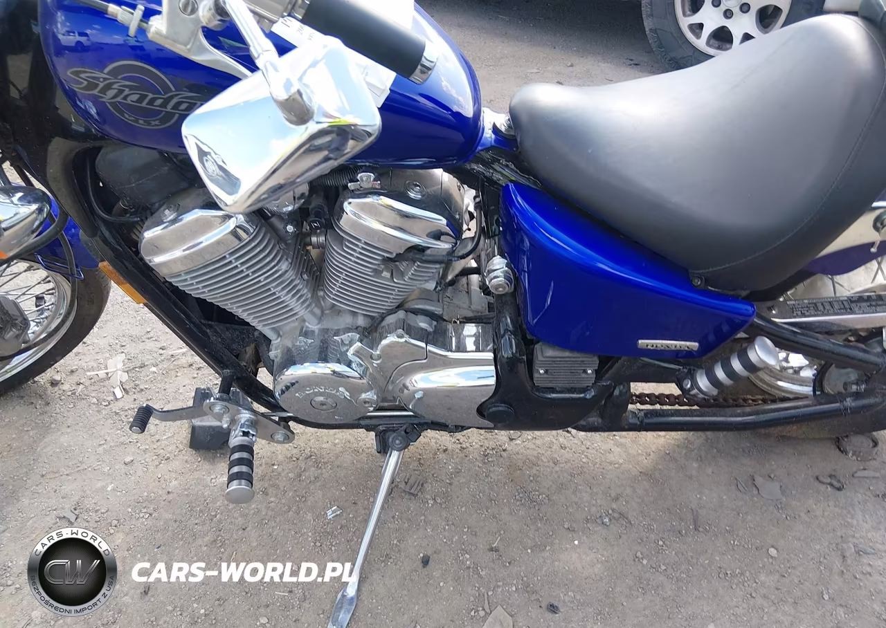 2005 Honda Vt600 Cd VIN:JH2PC21325M604070 - 9