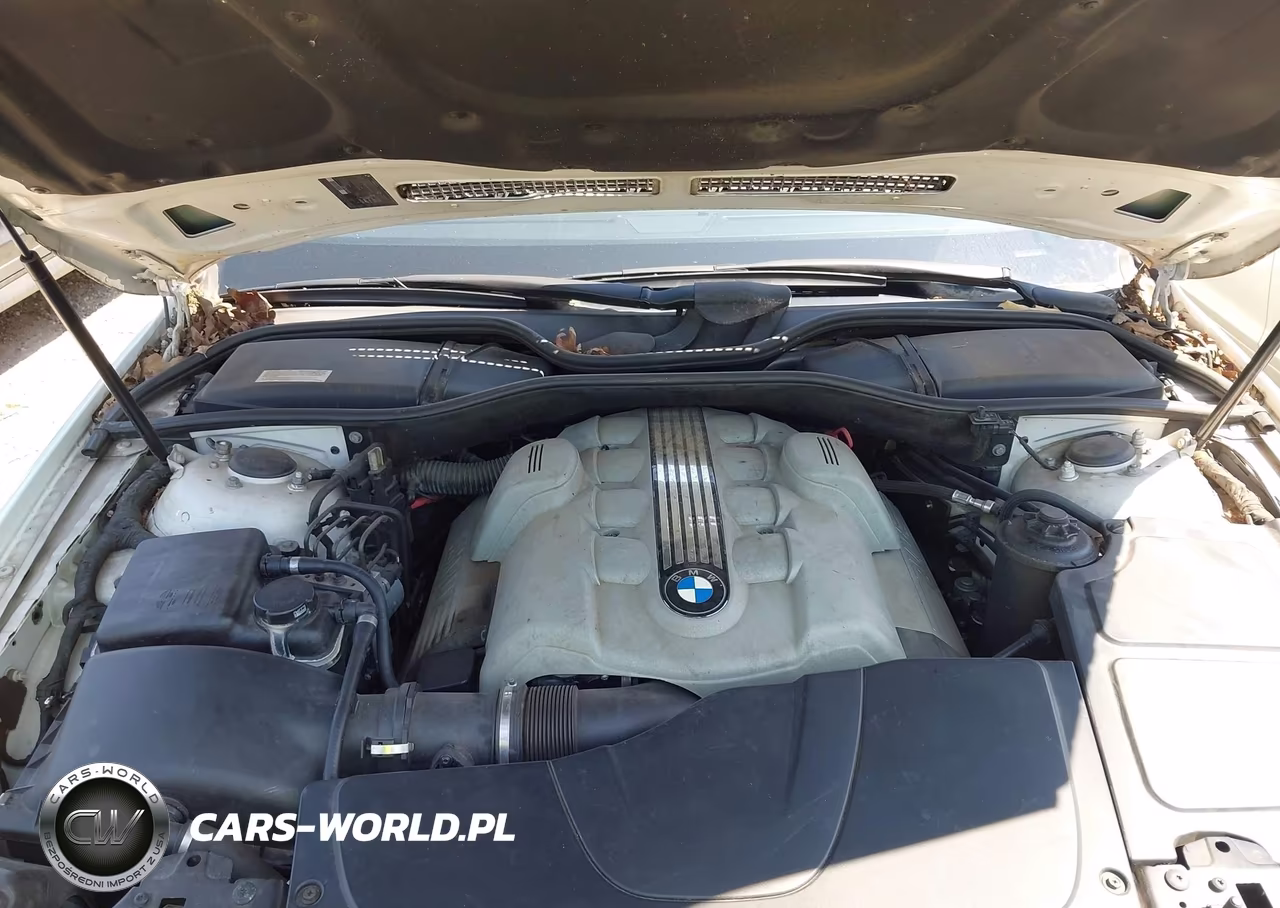 2003 BMW 745Li VIN:WBAGN63403DR17063 - 10