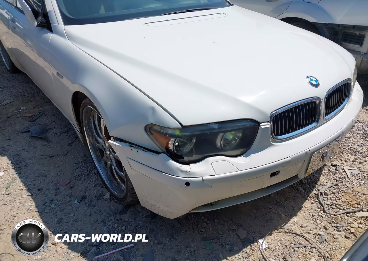 2003 BMW 745Li VIN:WBAGN63403DR17063 - 6