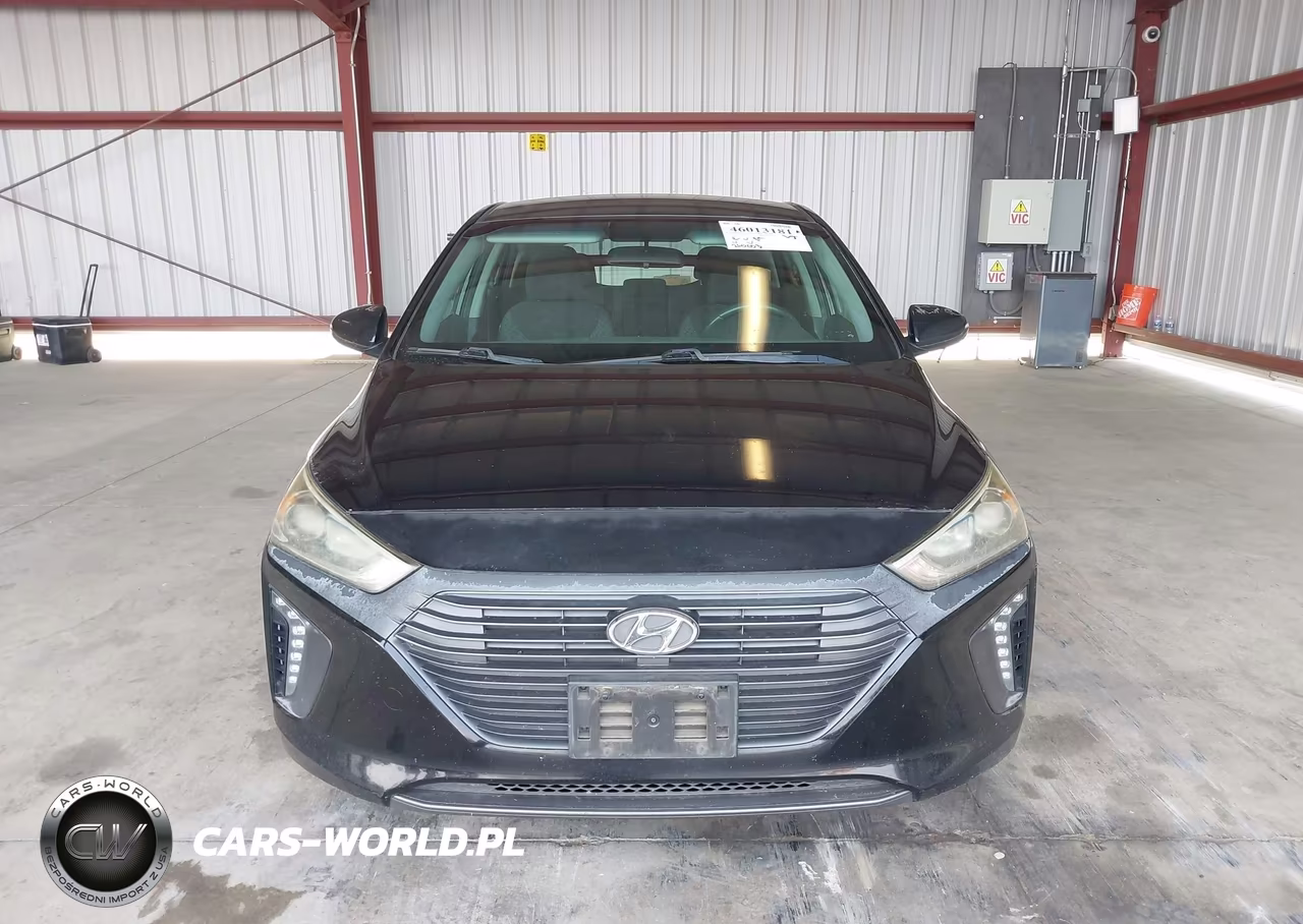 2018 Hyundai Ioniq Hybrid Sel VIN:KMHC75LC7JU099448 - 12
