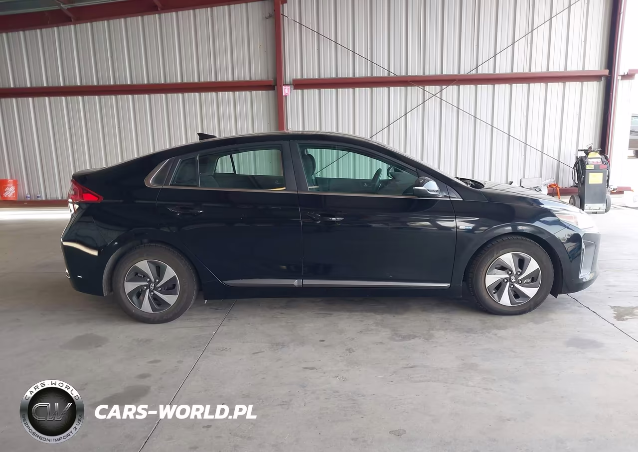 2018 Hyundai Ioniq Hybrid Sel VIN:KMHC75LC7JU099448 - 13