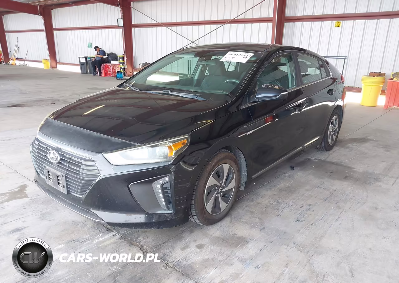2018 Hyundai Ioniq Hybrid Sel VIN:KMHC75LC7JU099448 - 2