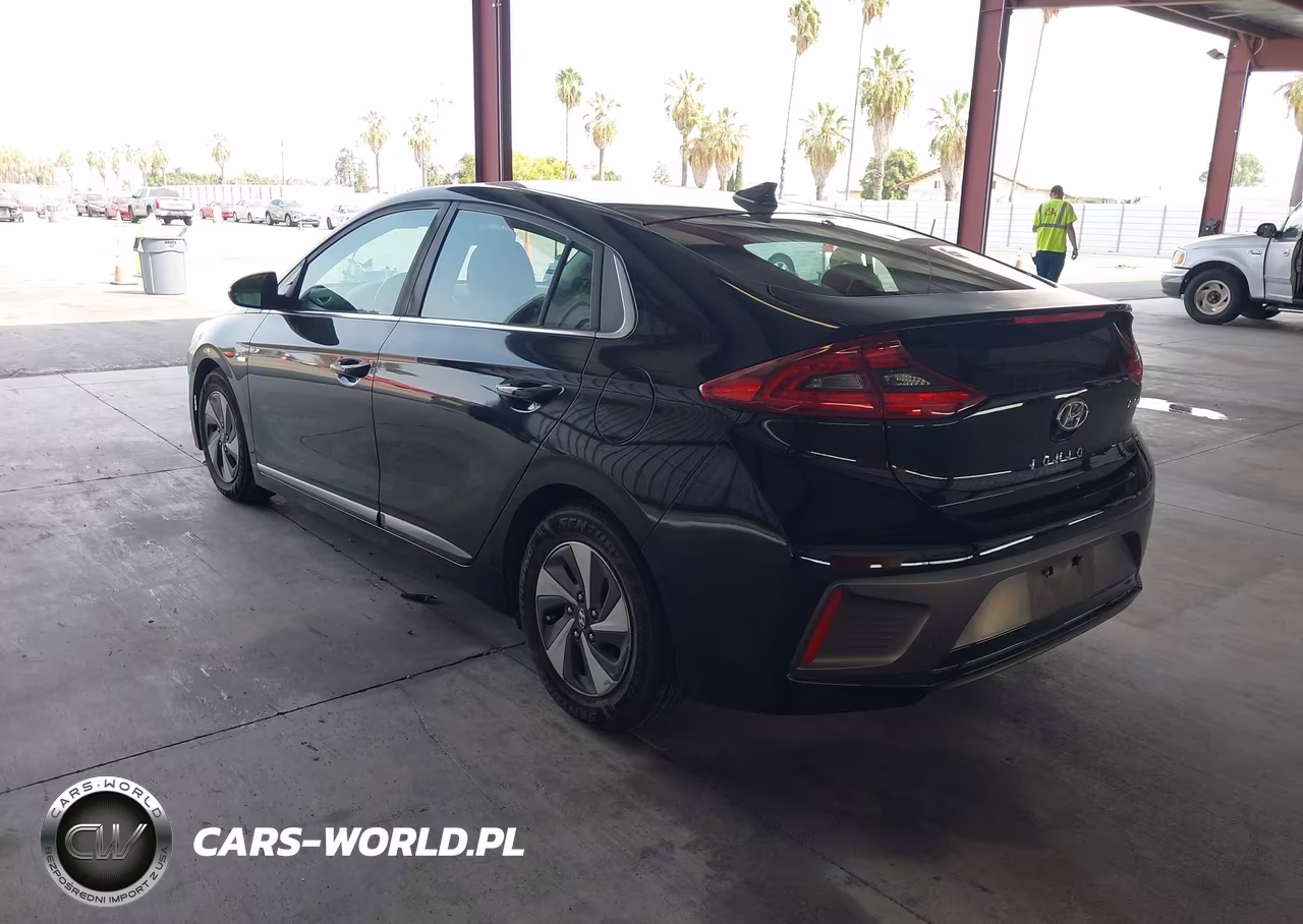 2018 Hyundai Ioniq Hybrid Sel VIN:KMHC75LC7JU099448 - 3