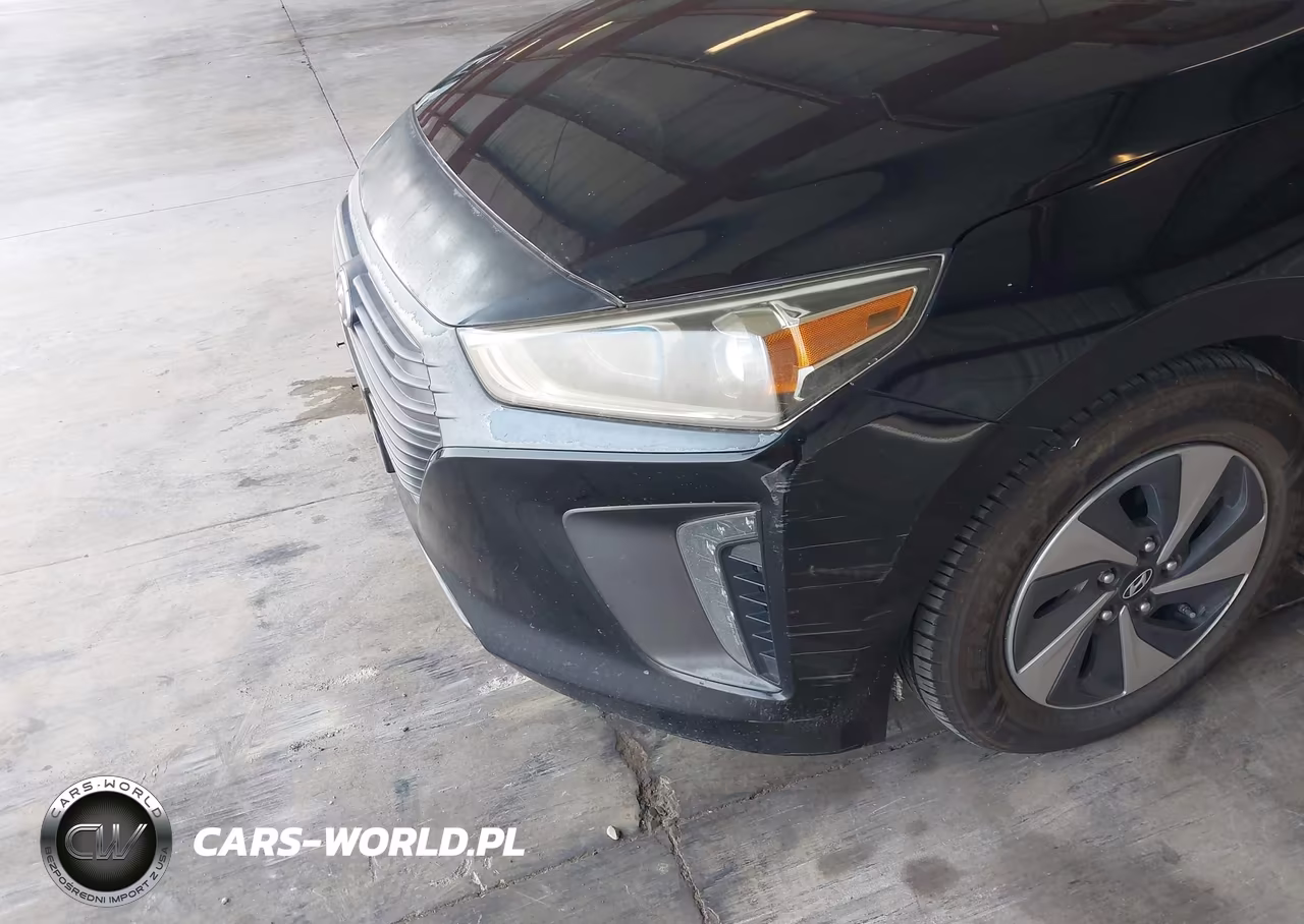 2018 Hyundai Ioniq Hybrid Sel VIN:KMHC75LC7JU099448 - 6