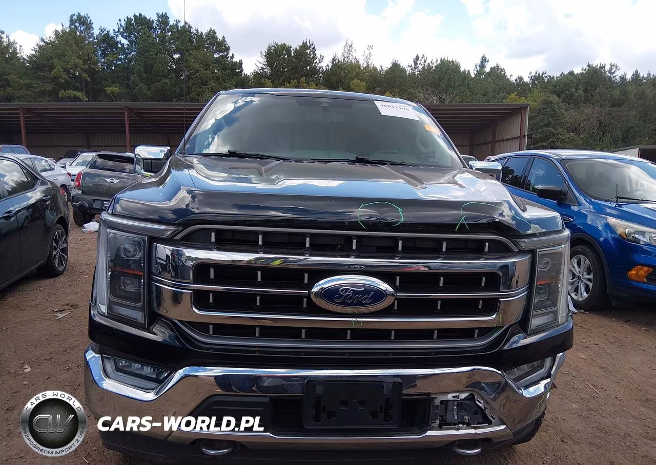 2021 Ford F-150 Lariat VIN:1FTEW1EP0MKE02563 - 13