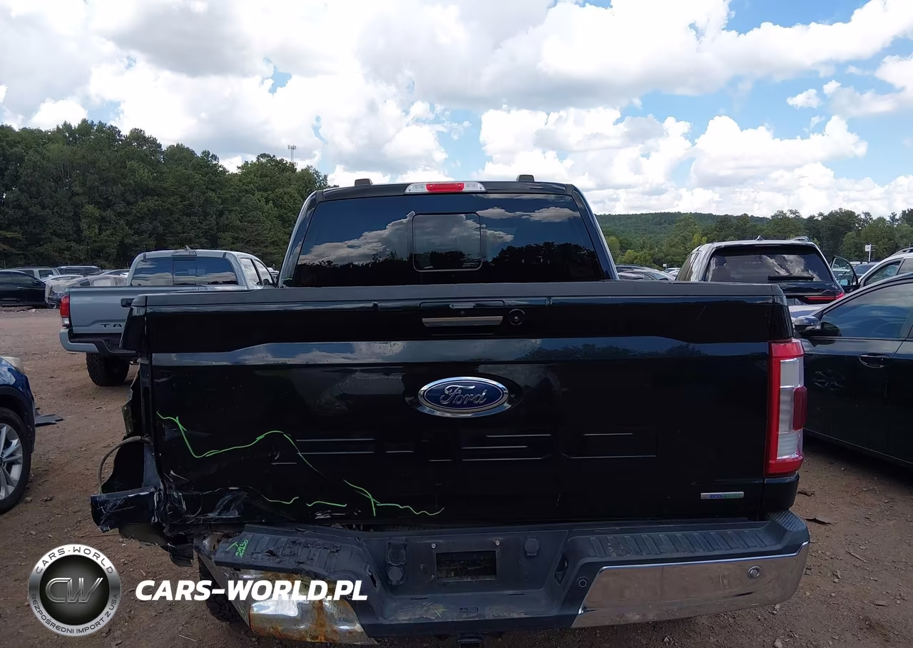 2021 Ford F-150 Lariat VIN:1FTEW1EP0MKE02563 - 17