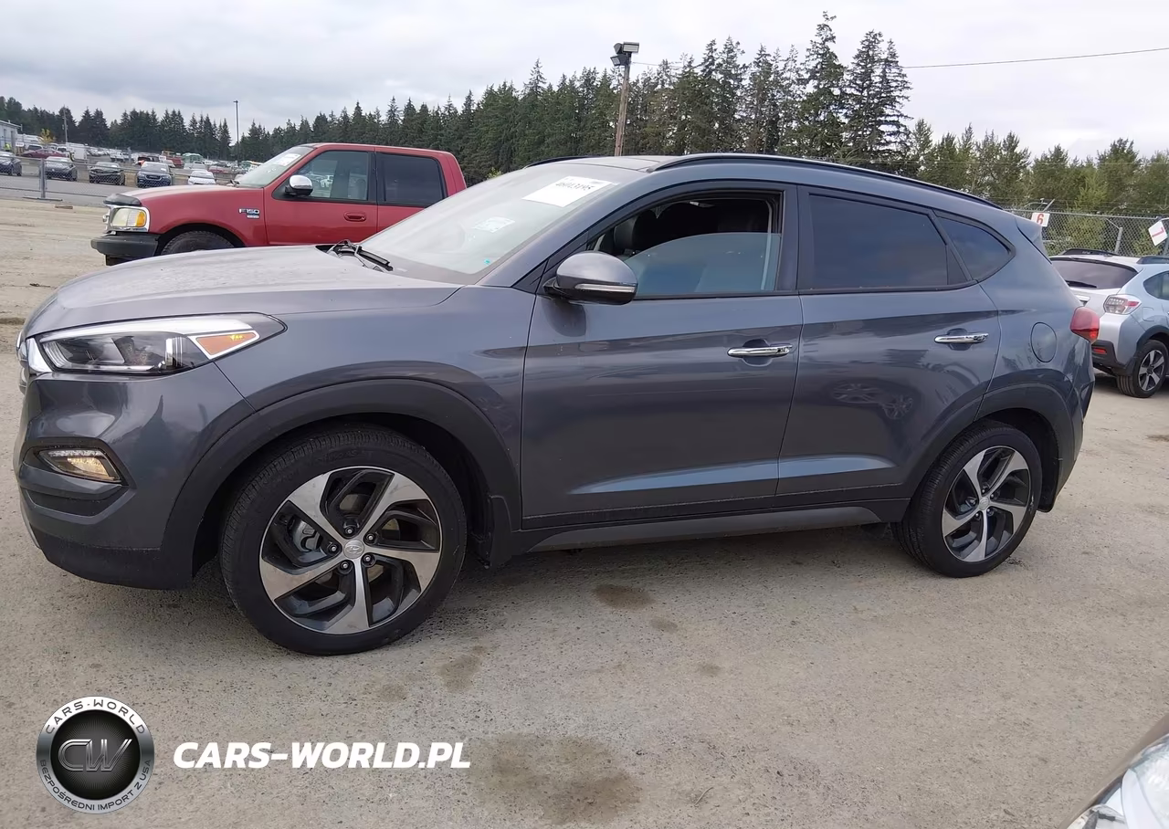2016 Hyundai Tucson Limited VIN:KM8J3CA28GU191775 - 17