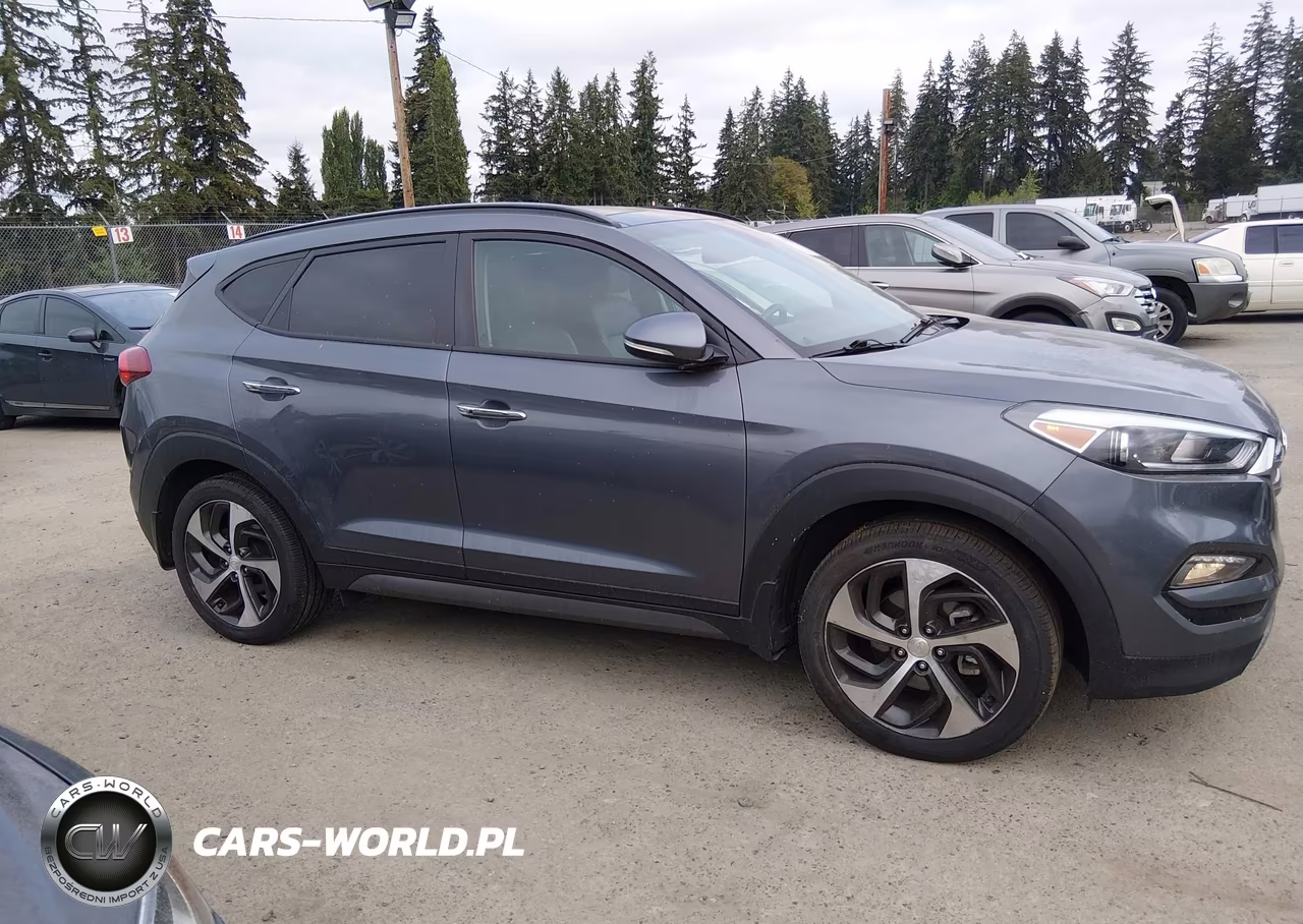 2016 Hyundai Tucson Limited VIN:KM8J3CA28GU191775 - 19