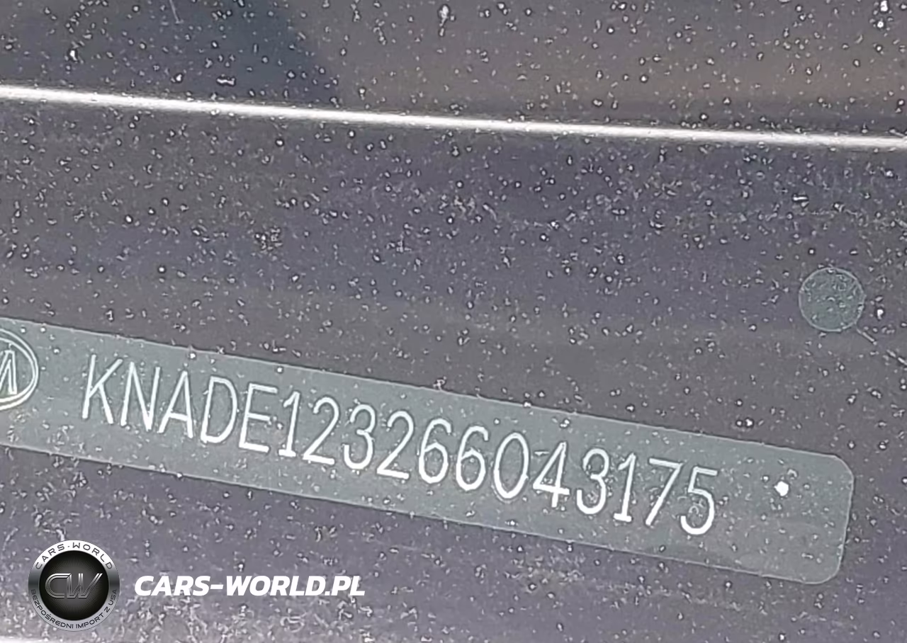 2006 Kia Rio Lx VIN:KNADE123266043175 - 9