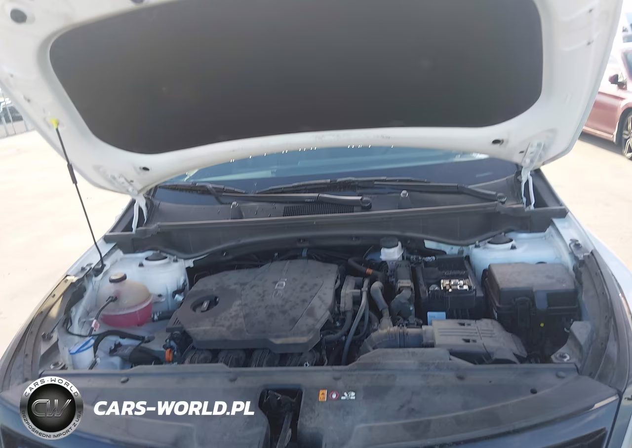 2023 Kia Sportage X-Pro Prestige VIN:5XYK7CAF2PG102073 - 10