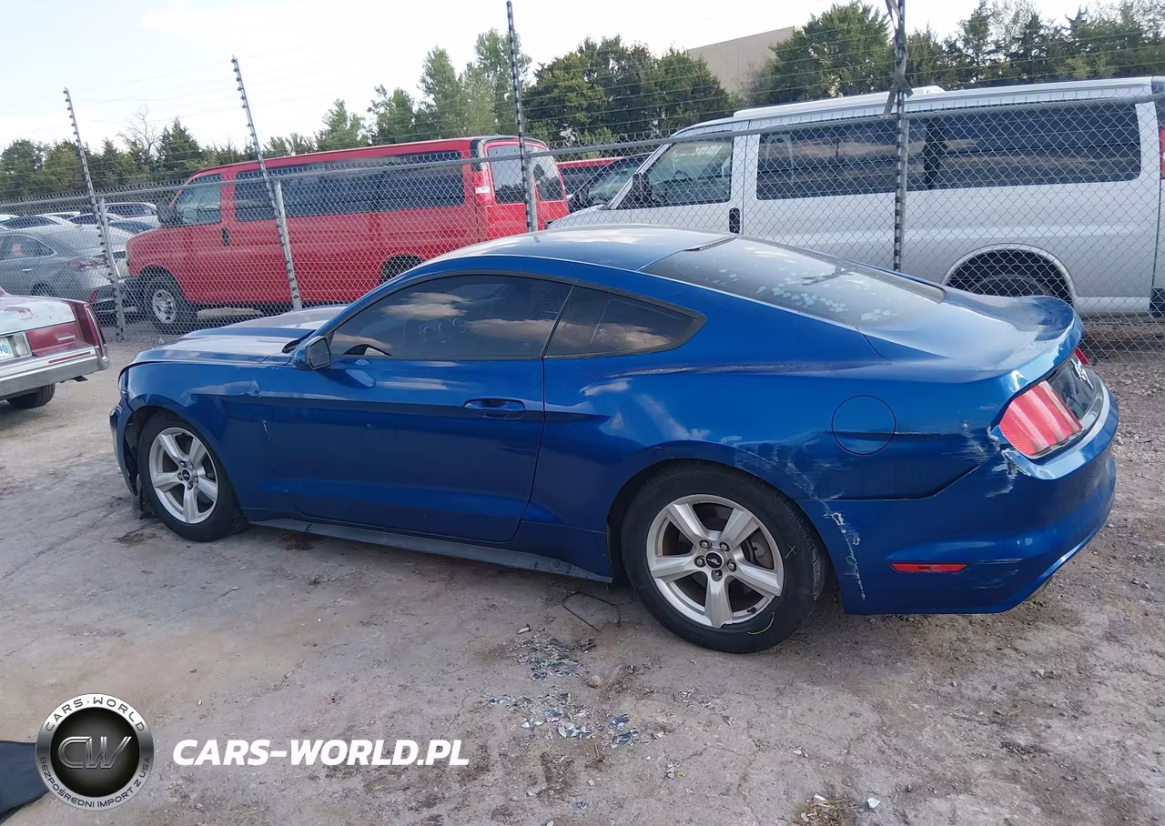 2017 Ford Mustang V6 VIN:1FA6P8AM3H5225121 - 14