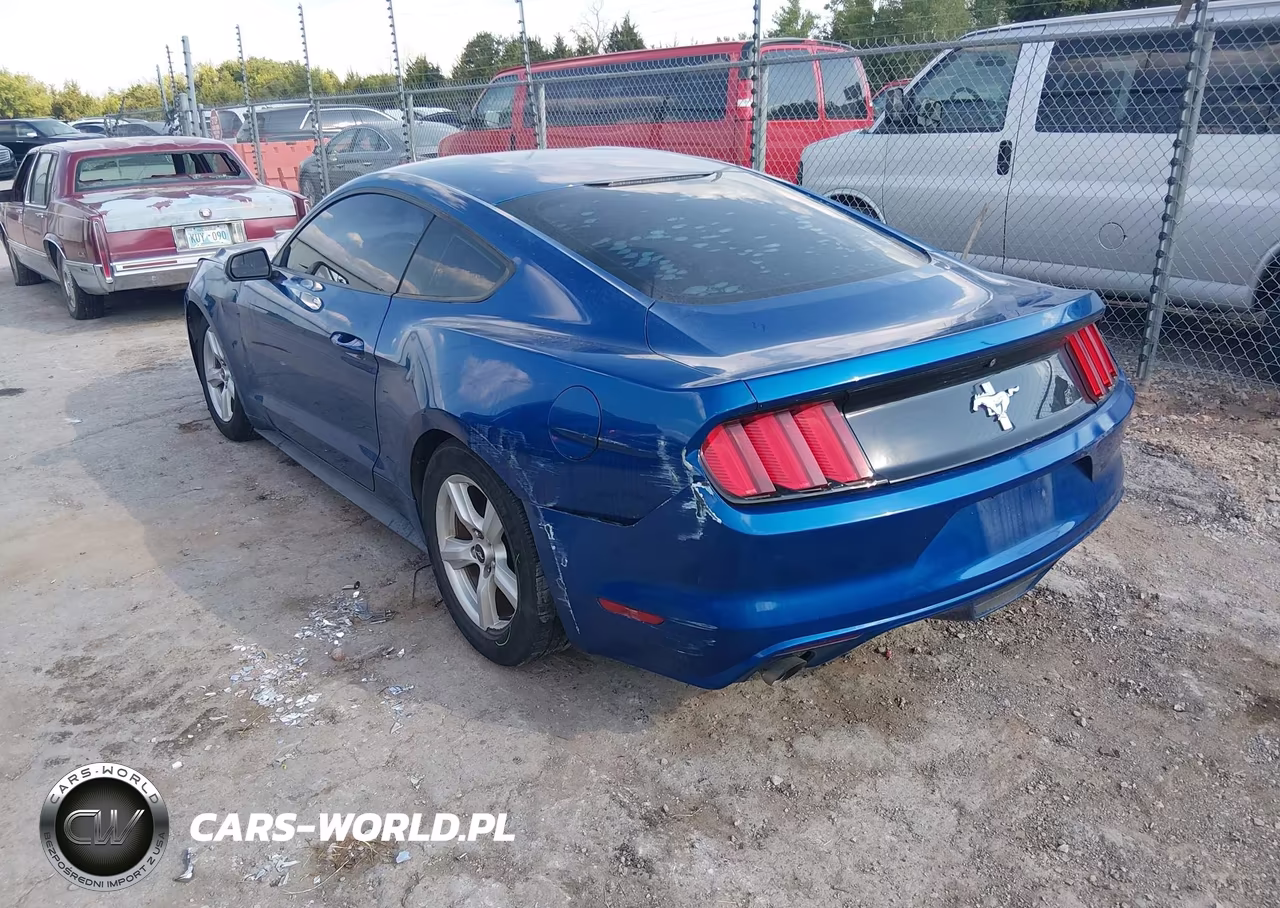 2017 Ford Mustang V6 VIN:1FA6P8AM3H5225121 - 3