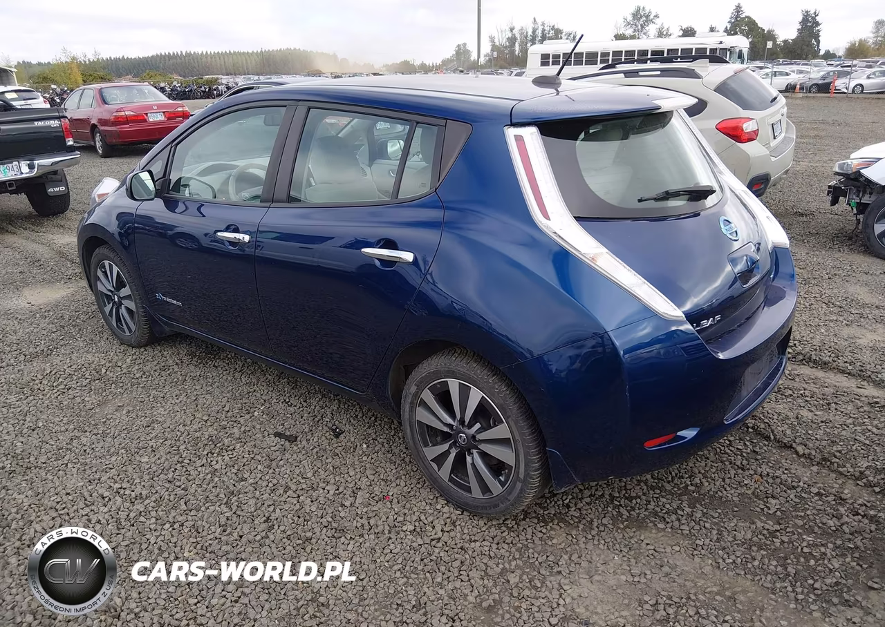 2016 Nissan Leaf Sv VIN:1N4BZ0CP3GC304560 - 3