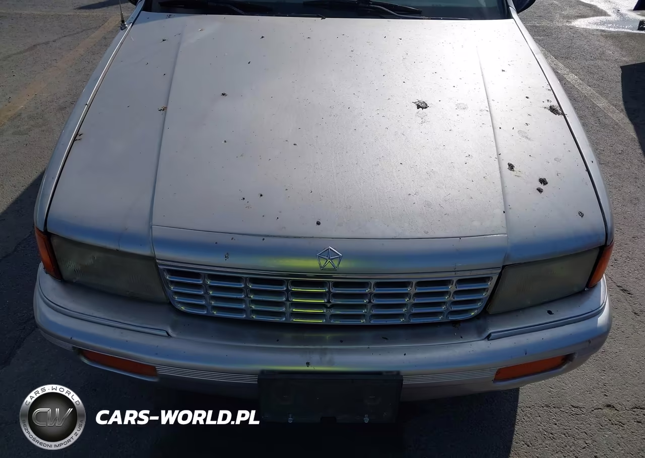 1994 Plymouth Acclaim VIN:1P3AA4636RF207643 - 6