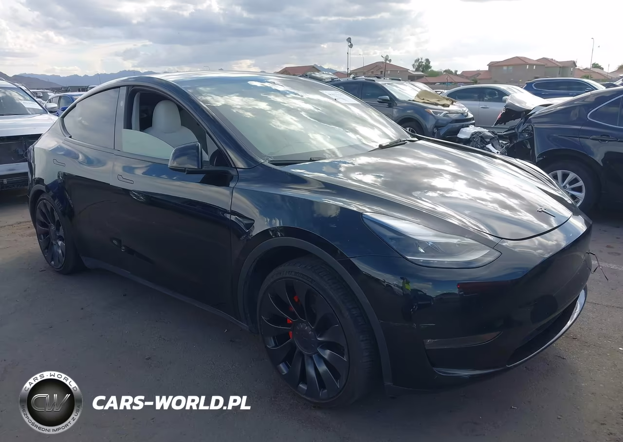 2023 Tesla Model Y Performance Dual Motor All-Wheel Drive VIN:7SAYGDEF0PF814554 - 1