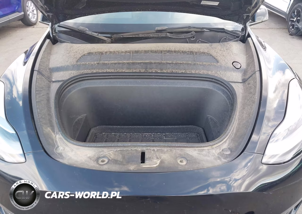 2023 Tesla Model Y Performance Dual Motor All-Wheel Drive VIN:7SAYGDEF0PF814554 - 10