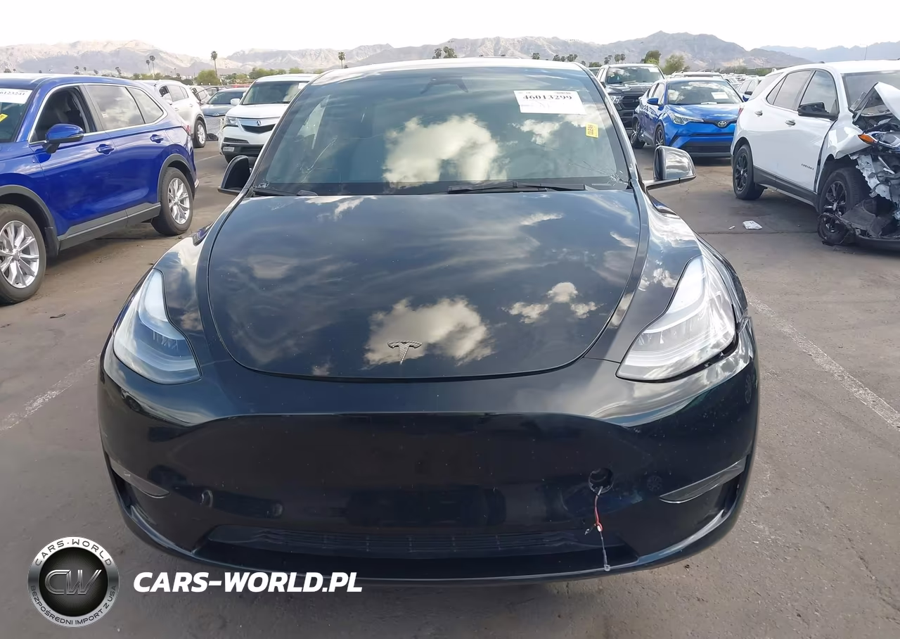 2023 Tesla Model Y Performance Dual Motor All-Wheel Drive VIN:7SAYGDEF0PF814554 - 12