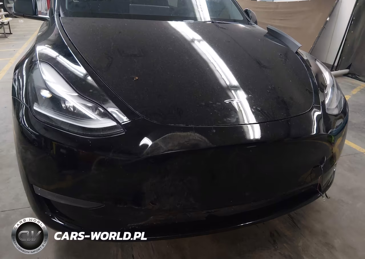 2021 Tesla Model Y Performance Dual Motor All-Wheel Drive VIN:5YJYGDEF4MF137730 - 6