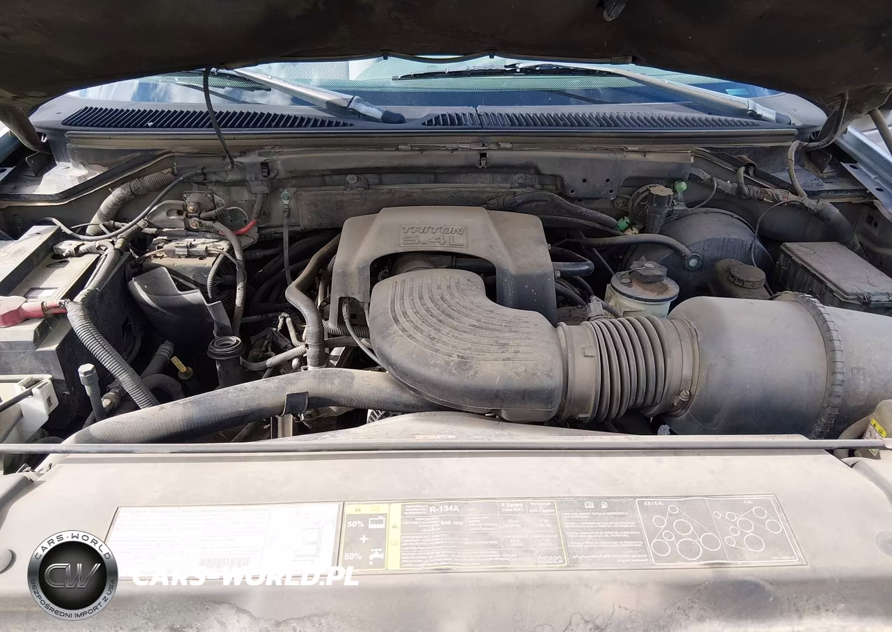 2003 Ford F-150 Lariat-Xlt VIN:1FTRW07L53KB73317 - 10