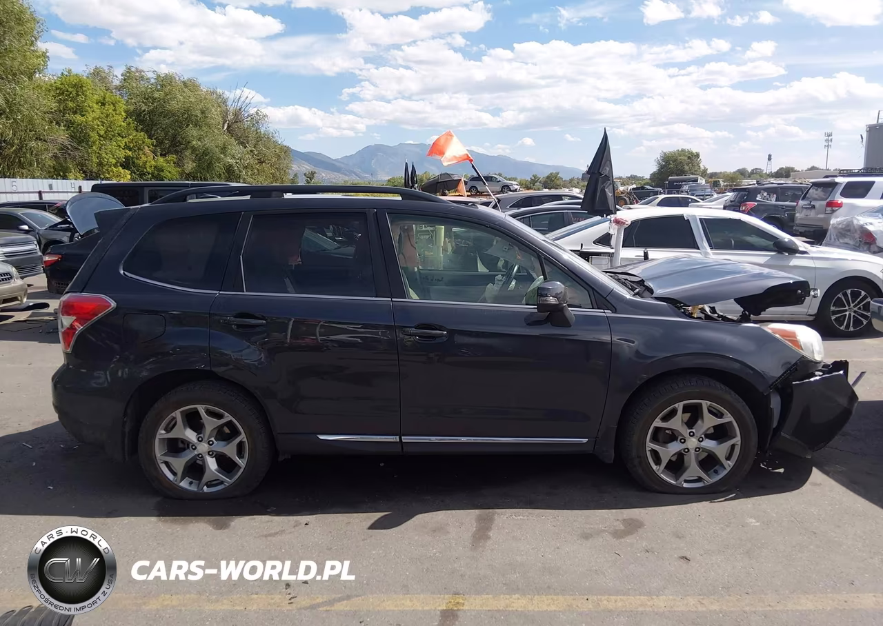 2015 Subaru Forester 2.5I Touring VIN:JF2SJAWC1FH548338 - 13