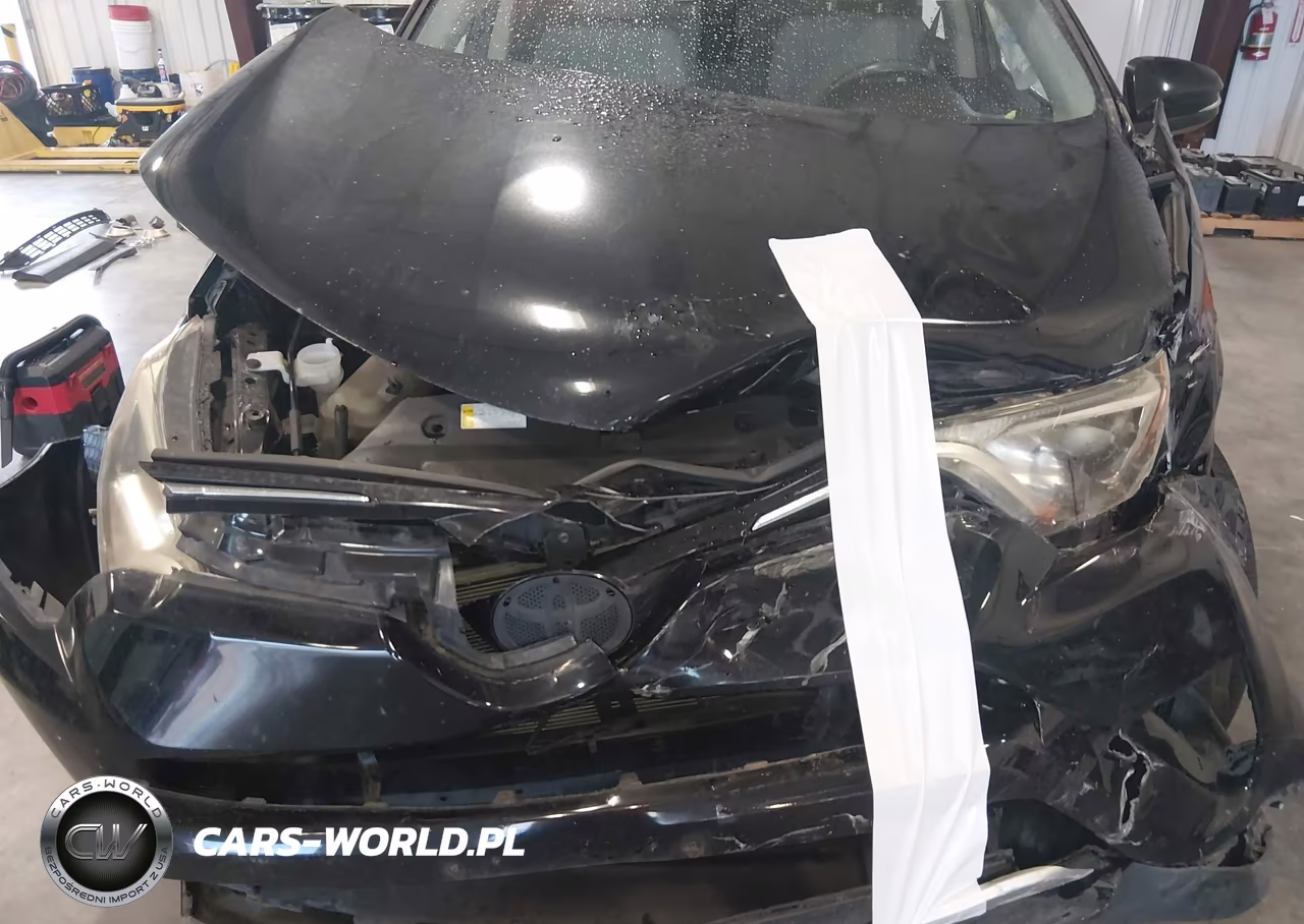 2016 Toyota Rav4 Xle VIN:2T3RFREV9GW519651 - 13