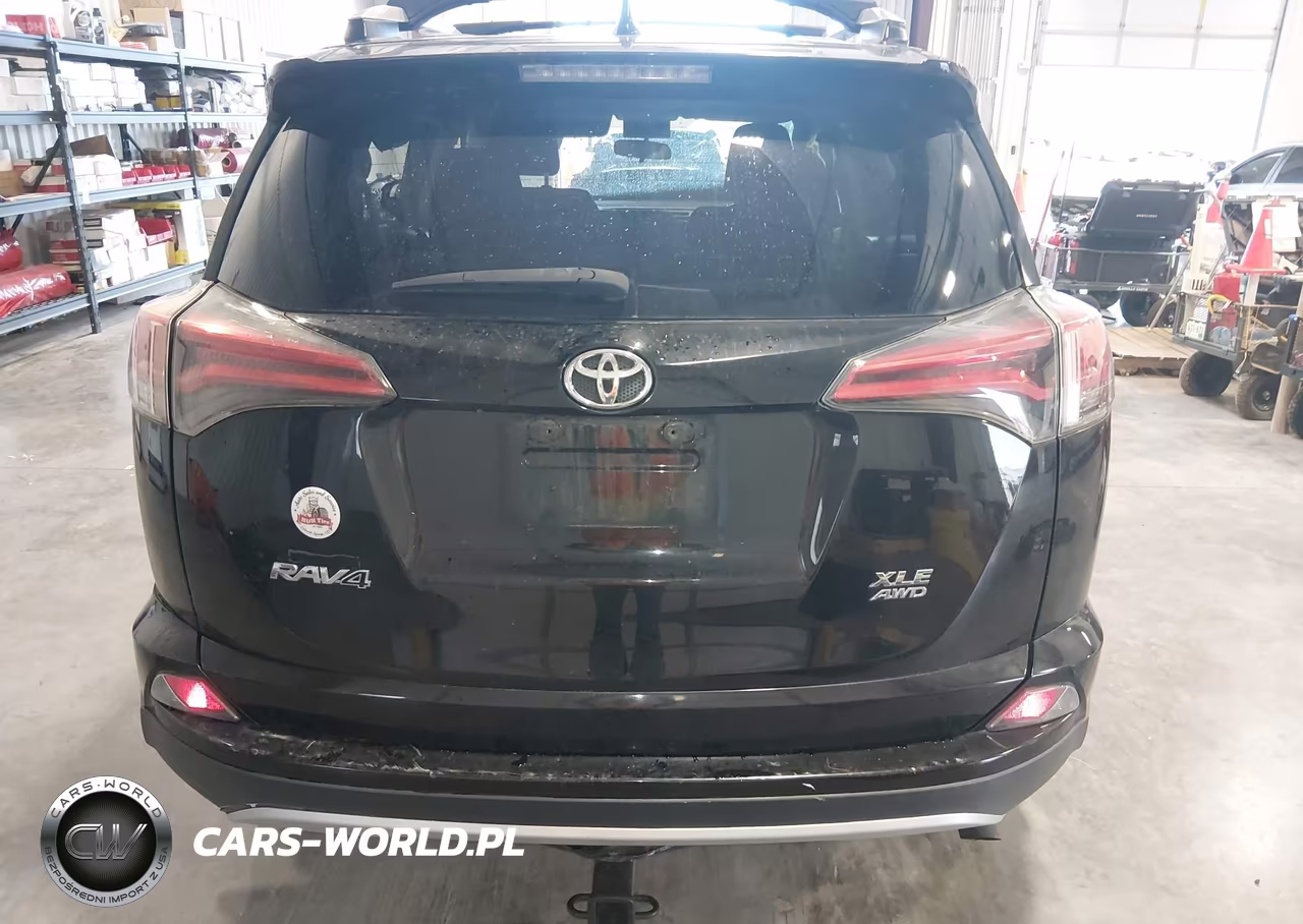 2016 Toyota Rav4 Xle VIN:2T3RFREV9GW519651 - 17
