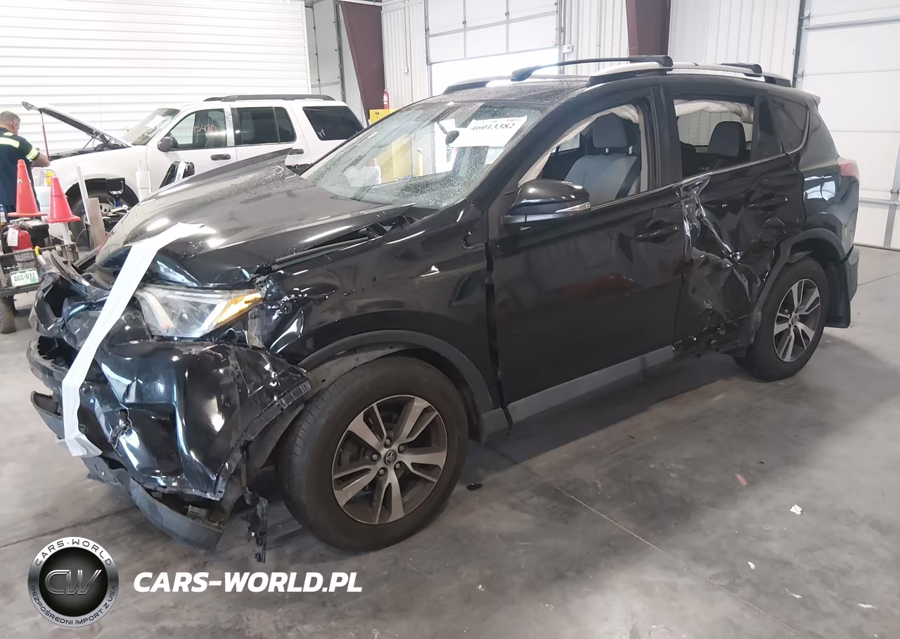 2016 Toyota Rav4 Xle VIN:2T3RFREV9GW519651 - 2