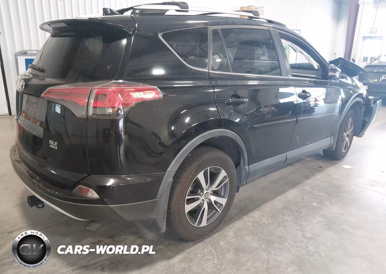 2016 Toyota Rav4 Xle VIN:2T3RFREV9GW519651 - 4