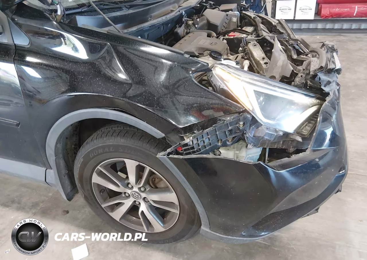 2016 Toyota Rav4 Xle VIN:2T3RFREV9GW519651 - 6