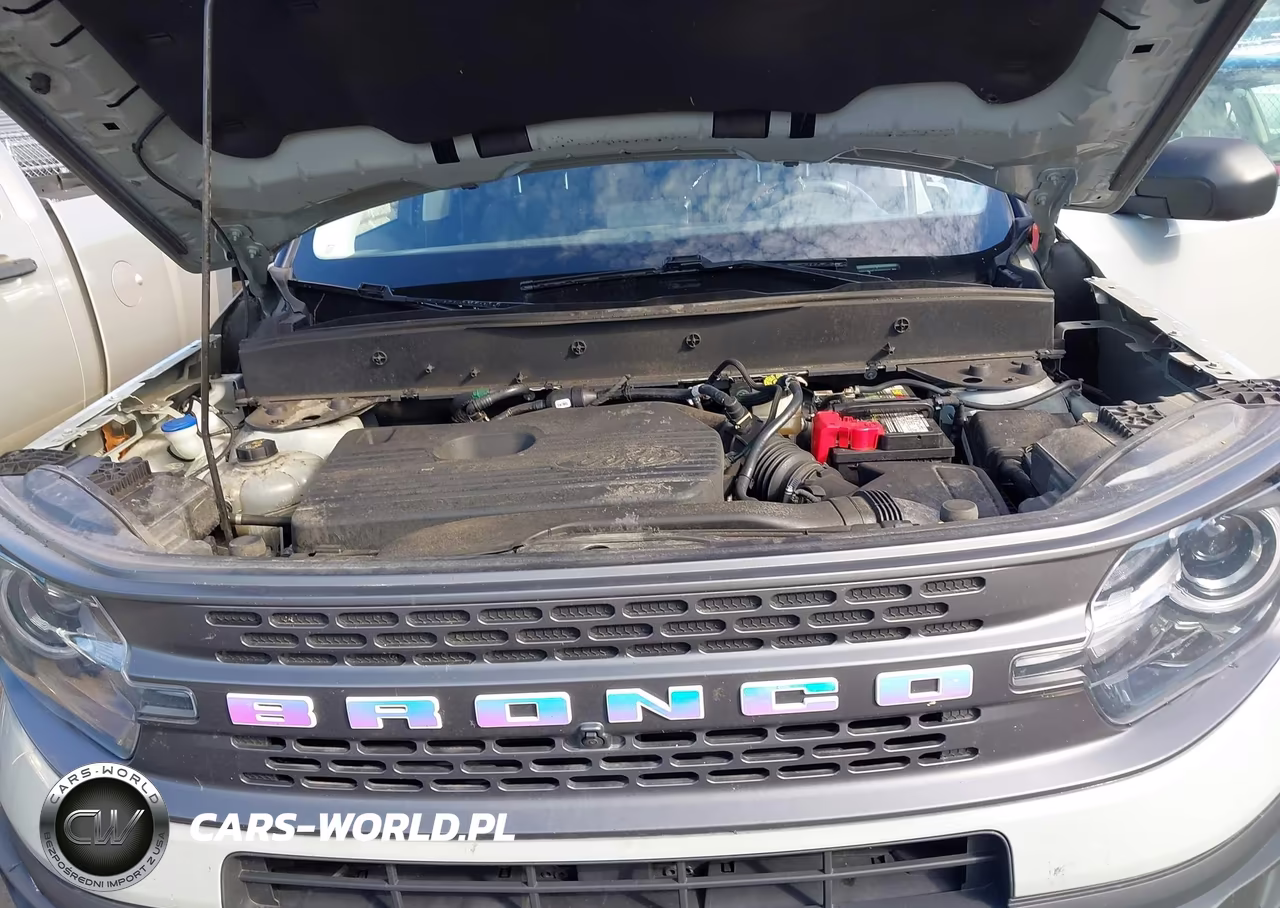 2021 Ford Bronco Sport Badlands VIN:3FMCR9D94MRB07859 - 10