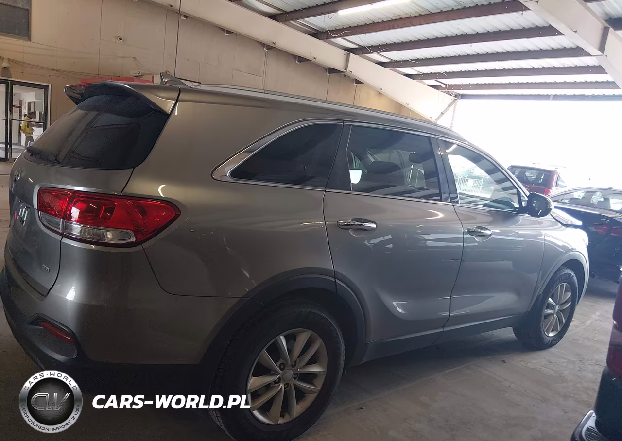 2017 Kia Sorento 2.4L Lx VIN:5XYPG4A34HG257176 - 13