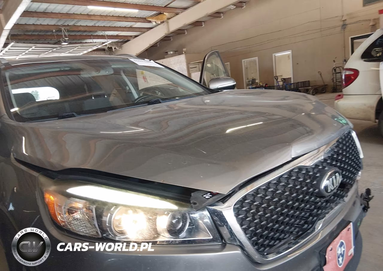 2017 Kia Sorento 2.4L Lx VIN:5XYPG4A34HG257176 - 18
