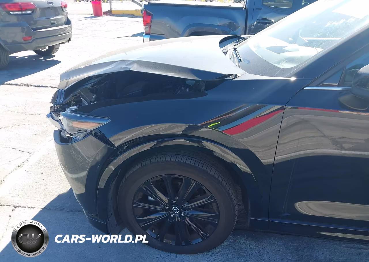 2025 Mazda Cx-5 2.5 Turbo Premium VIN:JM3KFBDY2S0642653 - 12