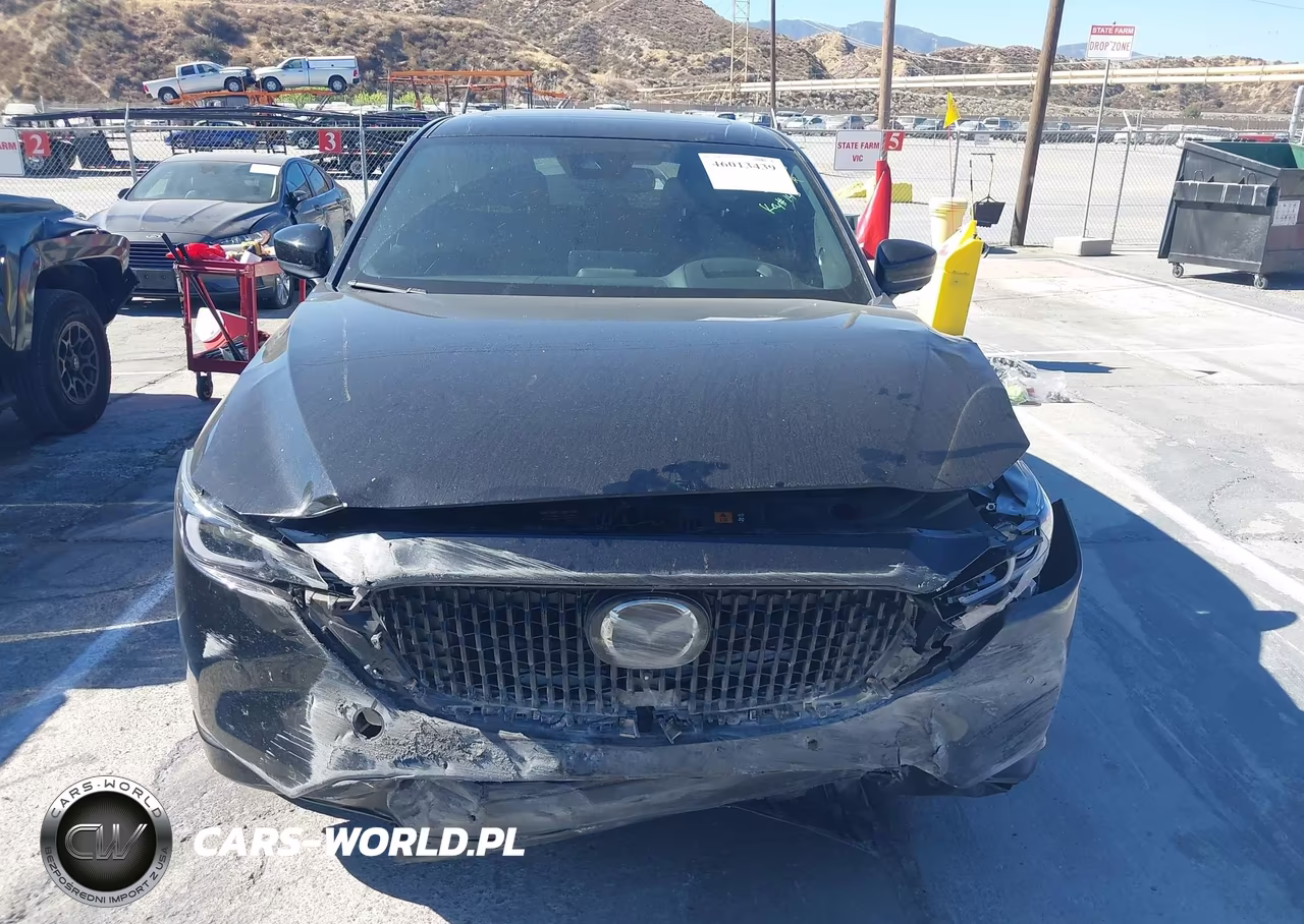 2025 Mazda Cx-5 2.5 Turbo Premium VIN:JM3KFBDY2S0642653 - 13