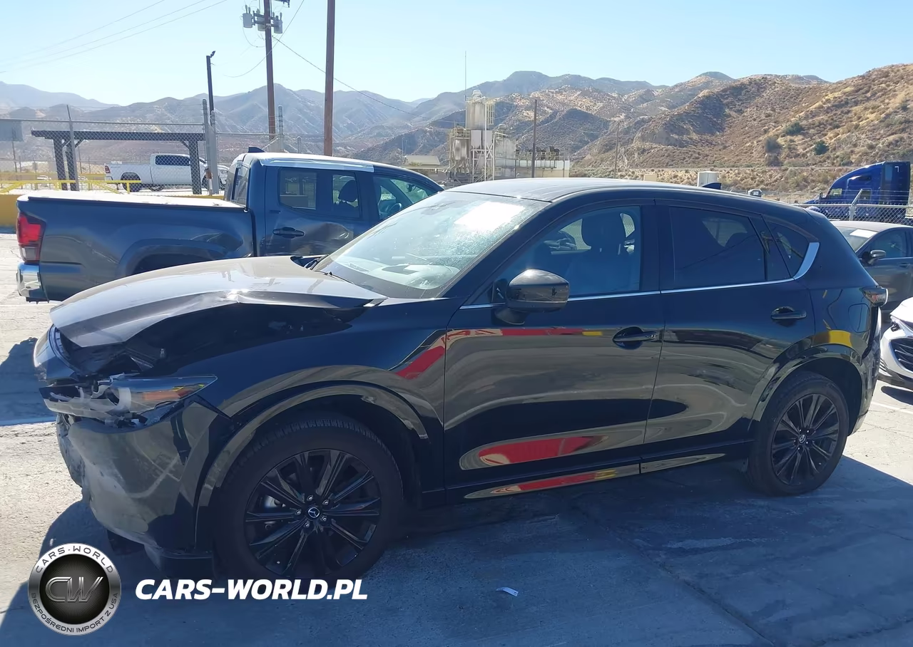 2025 Mazda Cx-5 2.5 Turbo Premium VIN:JM3KFBDY2S0642653 - 15