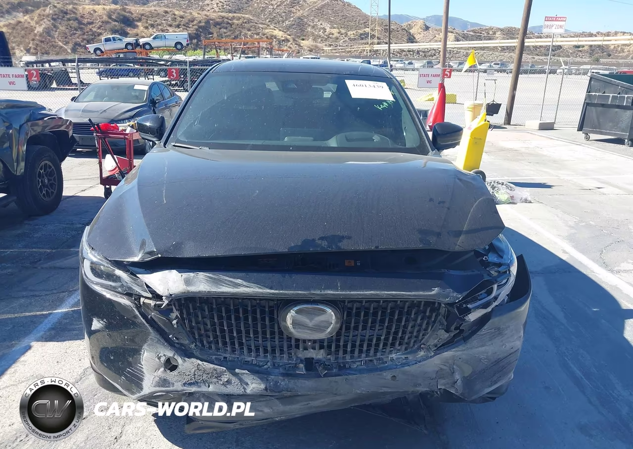 2025 Mazda Cx-5 2.5 Turbo Premium VIN:JM3KFBDY2S0642653 - 6