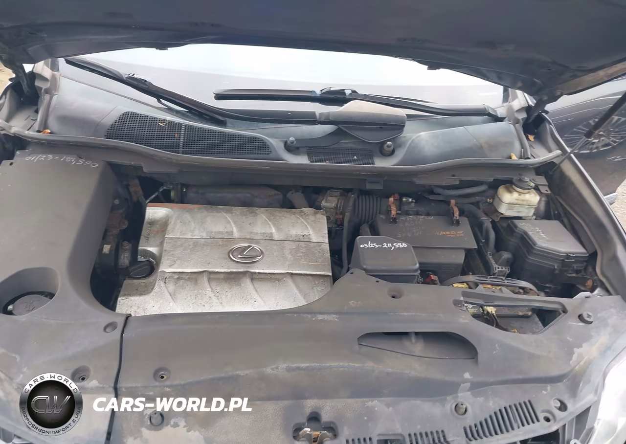 2010 Lexus Rx 350 VIN:2T2BK1BA9AC016845 - 10