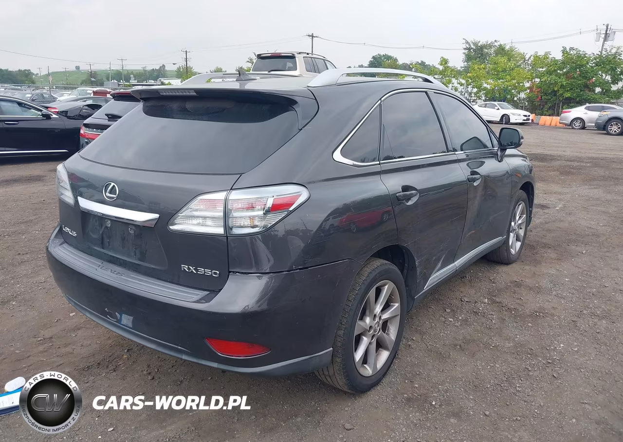 2010 Lexus Rx 350 VIN:2T2BK1BA9AC016845 - 4
