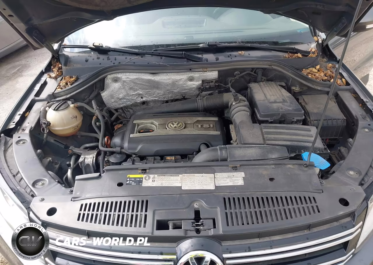 2013 Volkswagen Tiguan S VIN:WVGBV3AX3DW592161 - 10