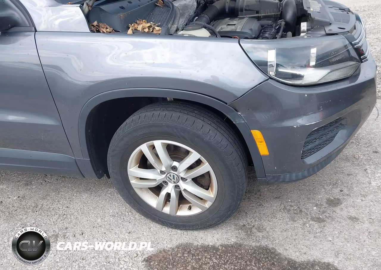2013 Volkswagen Tiguan S VIN:WVGBV3AX3DW592161 - 6