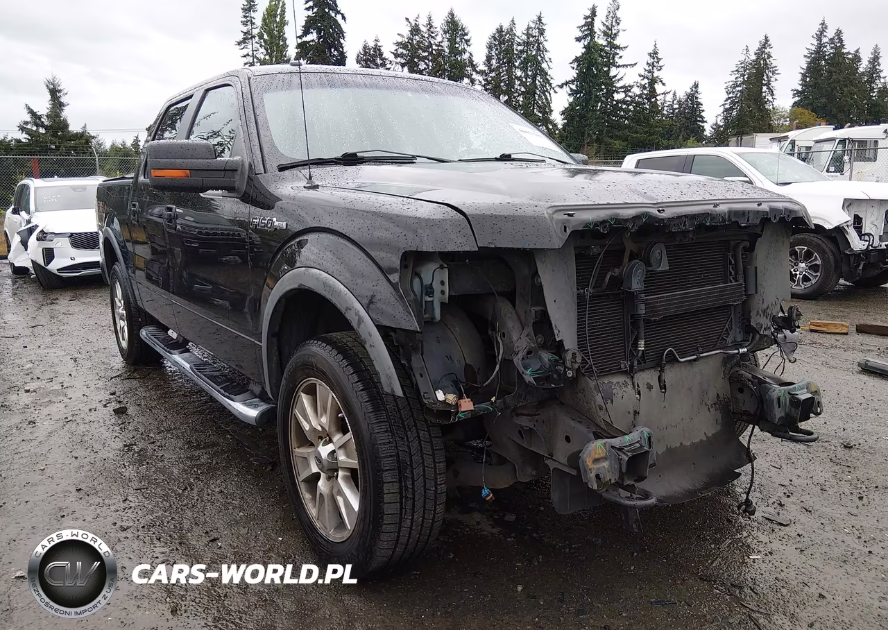 2010 Ford F-150 Fx4 – zdjęcie 1 z 18