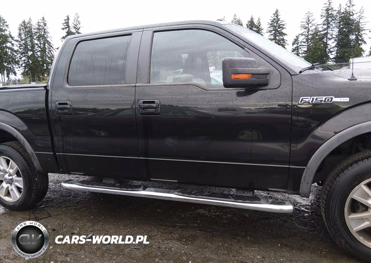 2010 Ford F-150 Fx4 VIN:1FTFW1EV1AFD59200 - 14
