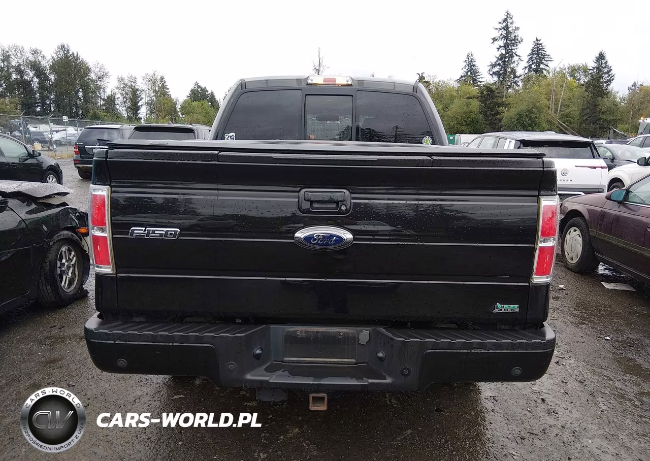 2010 Ford F-150 Fx4 VIN:1FTFW1EV1AFD59200 - 17