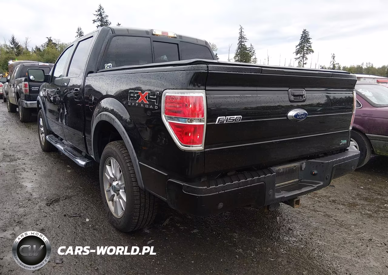 2010 Ford F-150 Fx4 VIN:1FTFW1EV1AFD59200 - 3