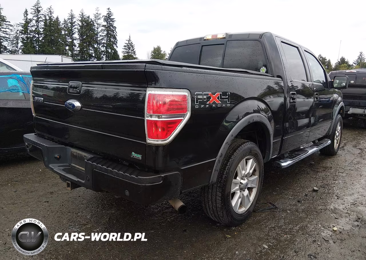 2010 Ford F-150 Fx4 VIN:1FTFW1EV1AFD59200 - 4